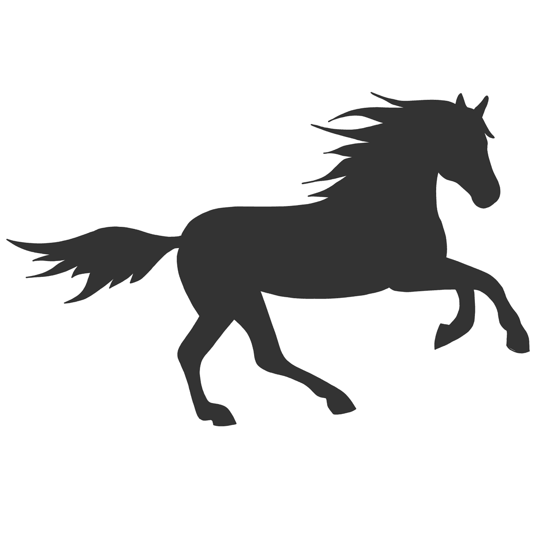 Bild som illusterar Skuggkonstnär