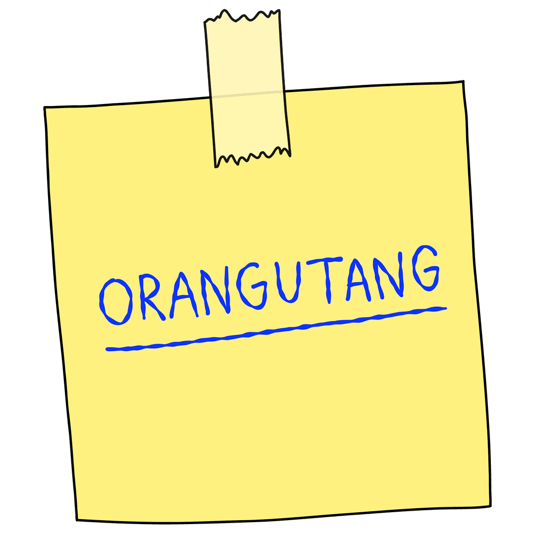 Bild som illusterar Långa ord